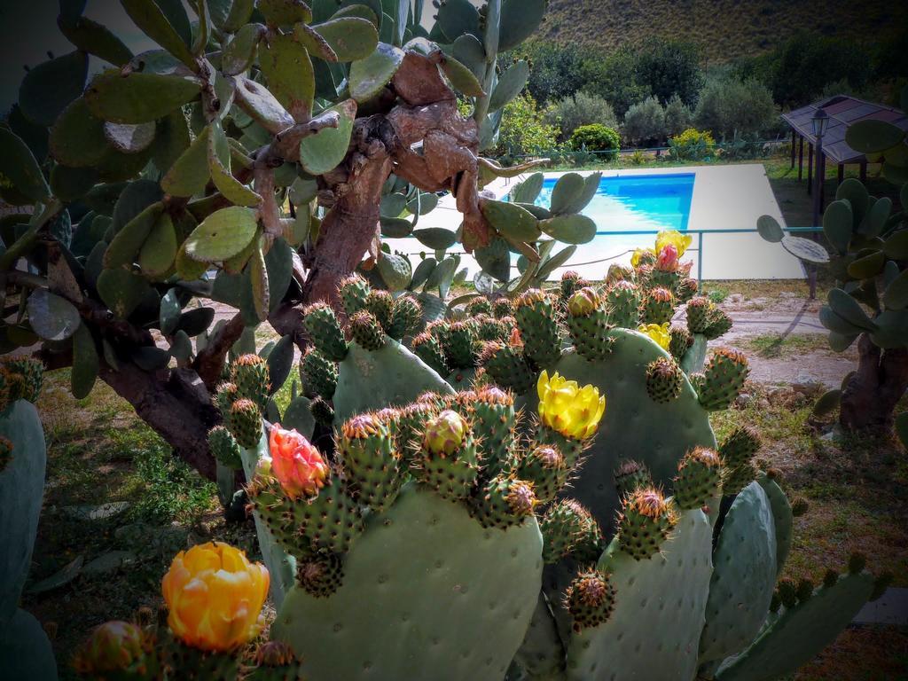 Agriturismo Timpa Del Sole Villa Noto Kültér fotó