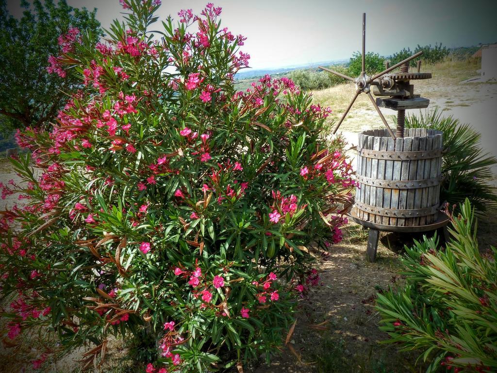 Agriturismo Timpa Del Sole Villa Noto Kültér fotó